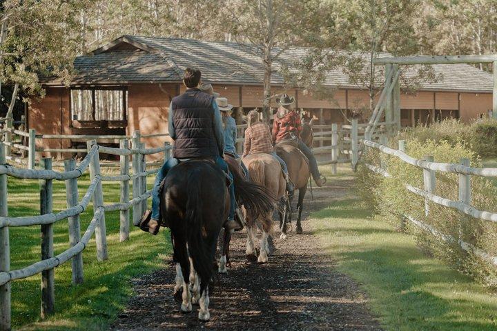 カナナスキス諸島のリッジ ライド 2 時間の乗馬トレイル ライド