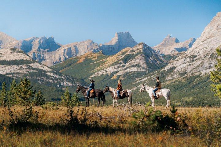 Ridge Ride Paardrijtocht van 2 uur in Kananaskis