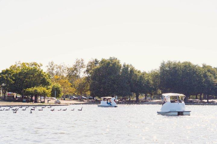 Lake Balboa Swan Boat Rental in Van Nuys