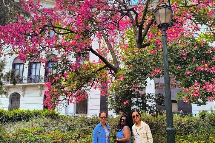 Half-day Regular City Tour at Montevideo