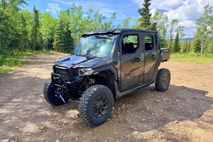 Denali Wilderness Adventure: Highest Rated Guided Denali ATV tour