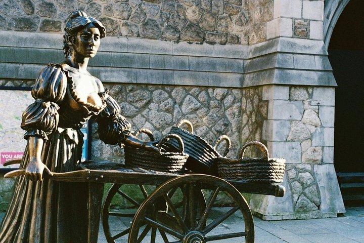 Dublin Highlights in 2 Hours: Small-Group Walking Tour