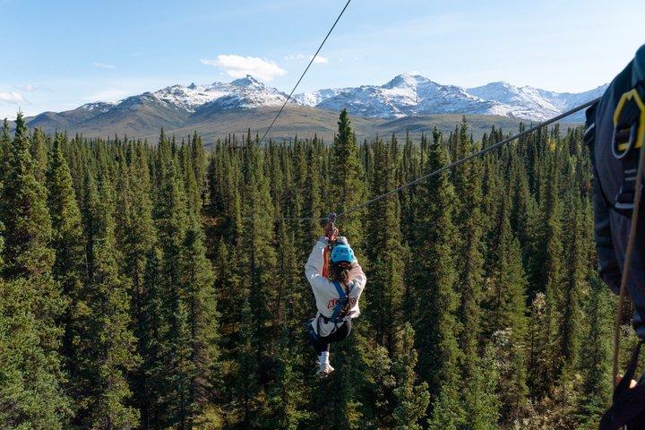 Denali Park Zipline Adventure: Denali's Highest Rated Zip Tour!