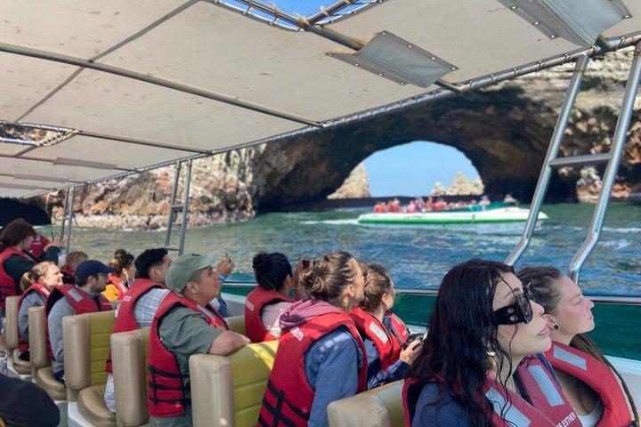 パラカス発バジェスタス諸島：屋根付きボートツアー
