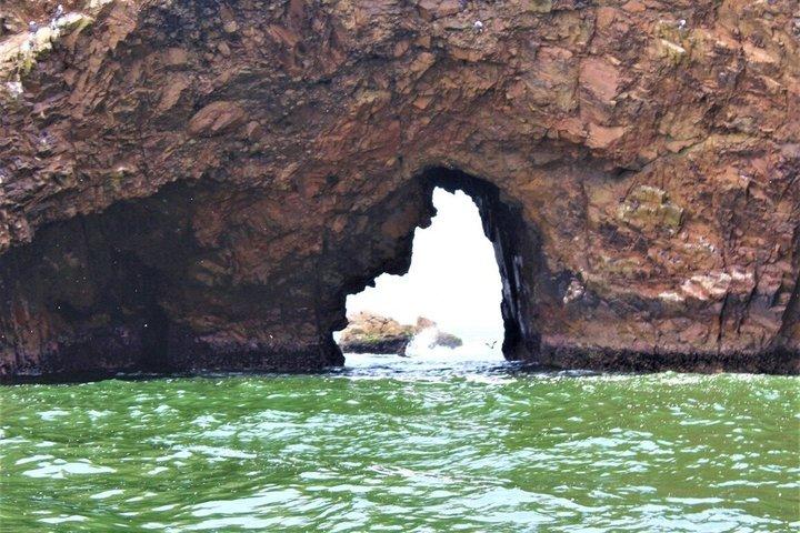 パラカス発バジェスタス諸島：屋根付きボートツアー