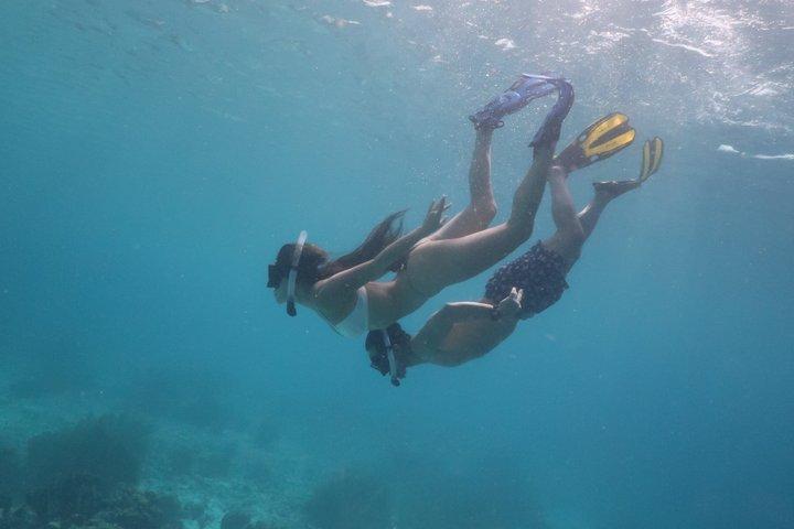 Bonaire snorkeling and sightseeing excursion with local lunch