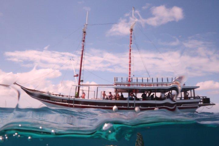 Bonaire snorkeling and sightseeing excursion with local lunch