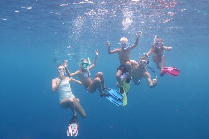 Bonaire snorkeling and sightseeing excursion with local lunch
