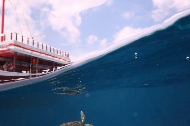 Bonaire snorkeling and sightseeing excursion with local lunch