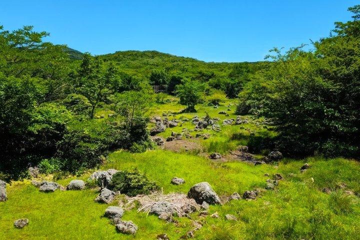済州ユネスコ西南部・東部ハイライト2日間コンボツアー