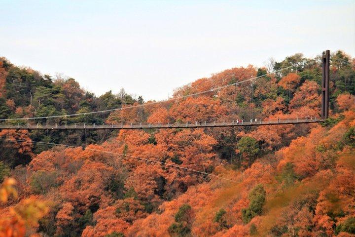 岩船神社 大阪バスツアーを探索する