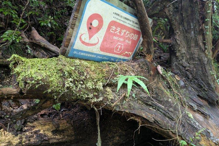 岩船神社 大阪バスツアーを探索する