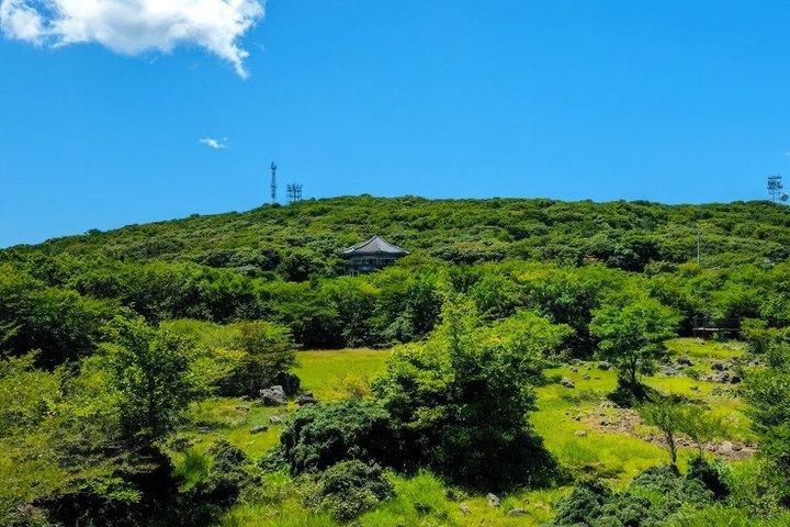 Guaranteed Return - Jeju Authentic Shore Excursion Cruise