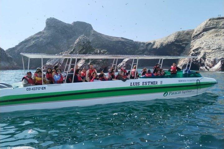 Ballestas Island Tour Sightseeing Boat