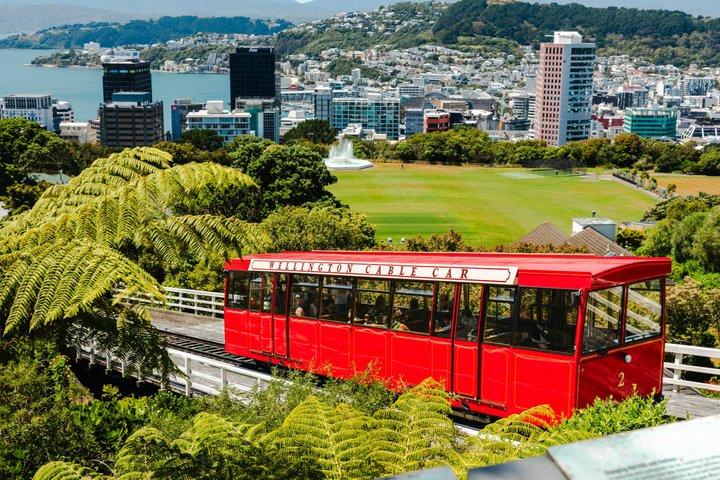 Descubra Wellington: recorrido turístico de 3 horas por la ciudad