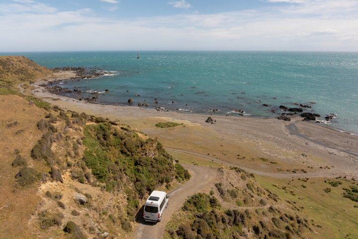 シールコーストサファリ-ウェリントンの秘密の海岸への特別アクセス