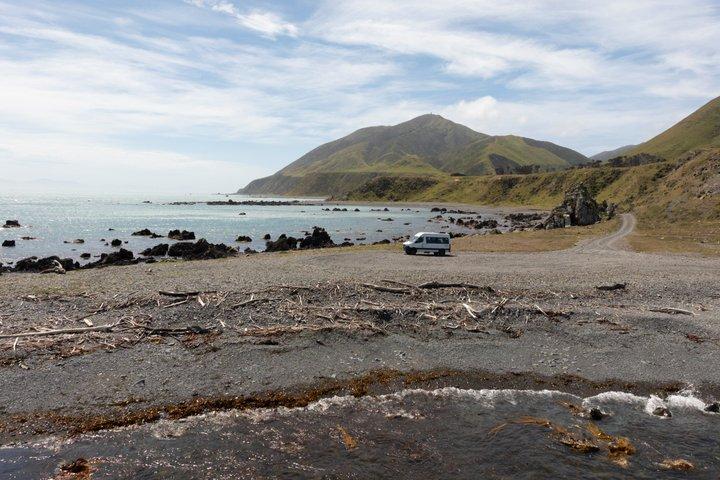 シールコーストサファリ-ウェリントンの秘密の海岸への特別アクセス