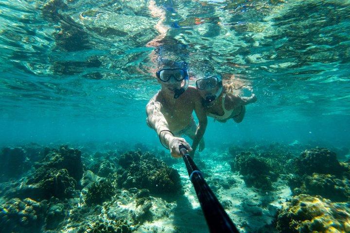 コサムー島発 コタオ＆コナンユアン スピードボート日帰り旅行