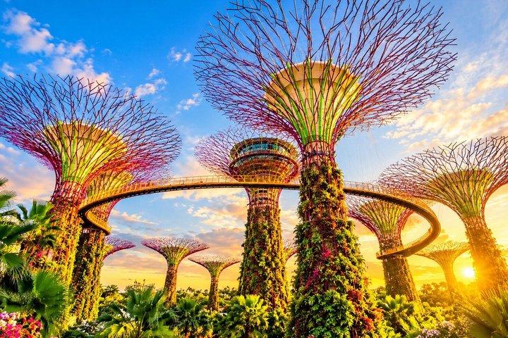 Singapore: Gardens by the Bay Admission E-Ticket