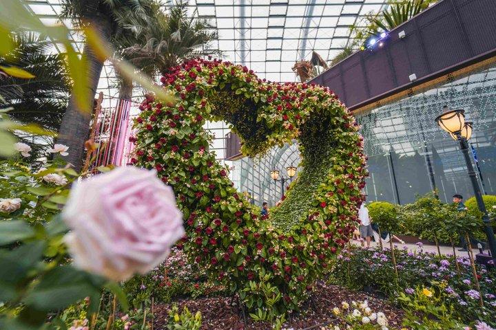 Singapore: Gardens by the Bay Admission E-Ticket