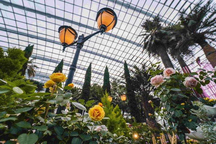 Singapore: Gardens by the Bay Admission E-Ticket