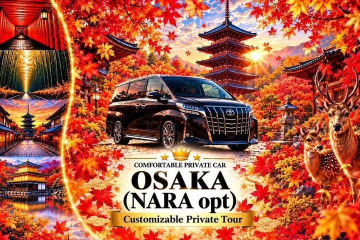 大阪カスタマイズプライベートツアー - 奈良オプション（現地英語ガイド）