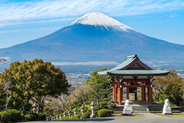 ライセンスガイド付き車で富士山＆箱根プライベートツアー