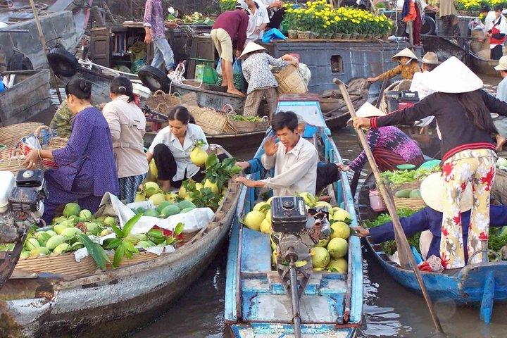 Cai Be Mekong Delta Day Trip from Ho Chi Minh City