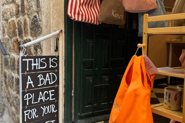 Paint, Sip & Savor Local Flavors: Authentic Dubrovnik Workshop
