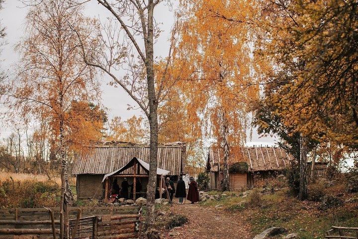 Experience Birka Viking City & Museum - Boat Tour from Stockholm