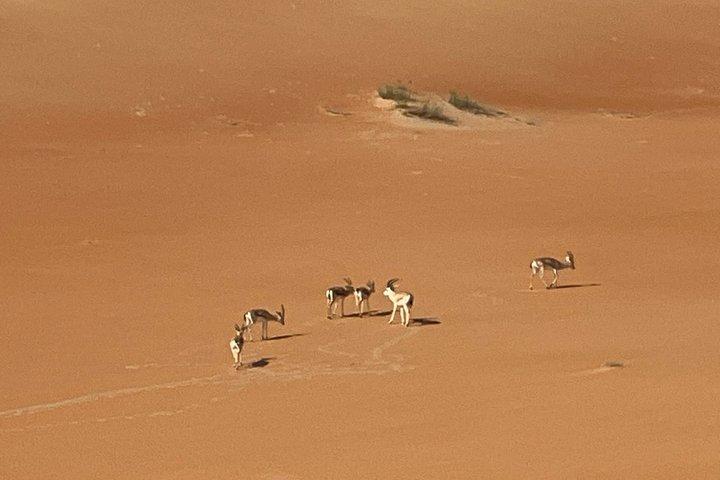Empty Quarter Sunset Desert Safari