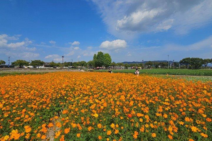 Gyeongju Evening Express Small Group Tour from Busan
