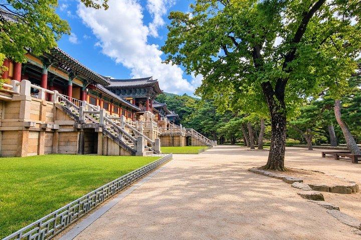 Gyeongju Evening Express Small Group Tour from Busan