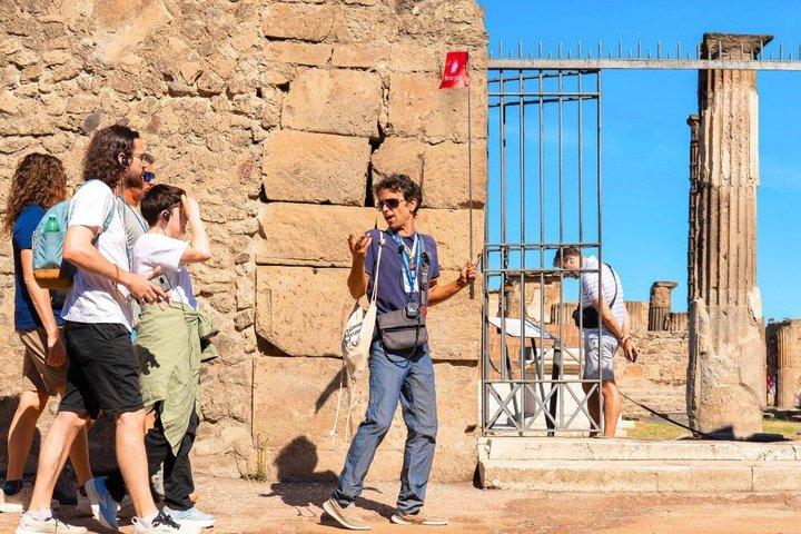 ローマ発ポンペイとソレント日帰り旅行（リモンチェロ・テイスティング付き）