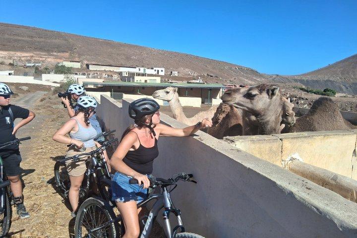 E MTBツアー火山の景色とプラヤ・ケマダ海岸