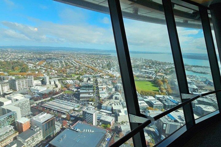 スカイタワーオークランド展望デッキ 360度の街の眺め