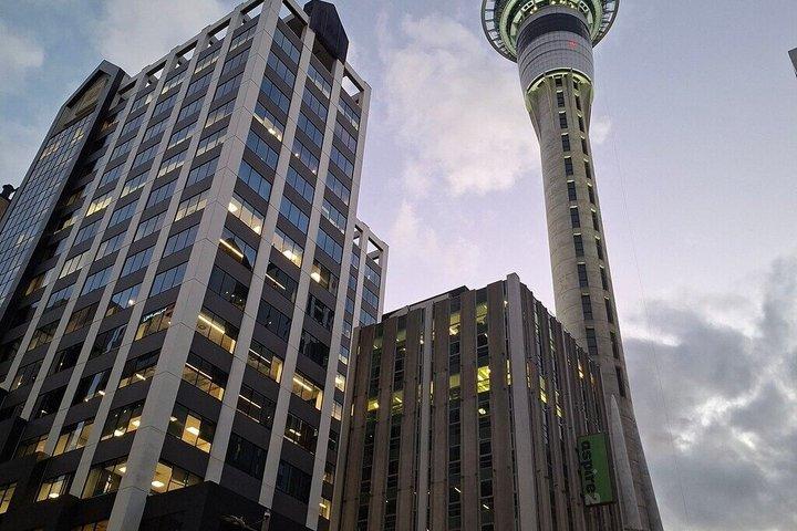 スカイタワーオークランド展望デッキ 360度の街の眺め