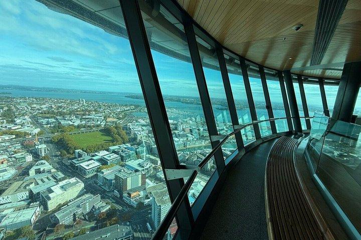 スカイタワーオークランド展望デッキ 360度の街の眺め
