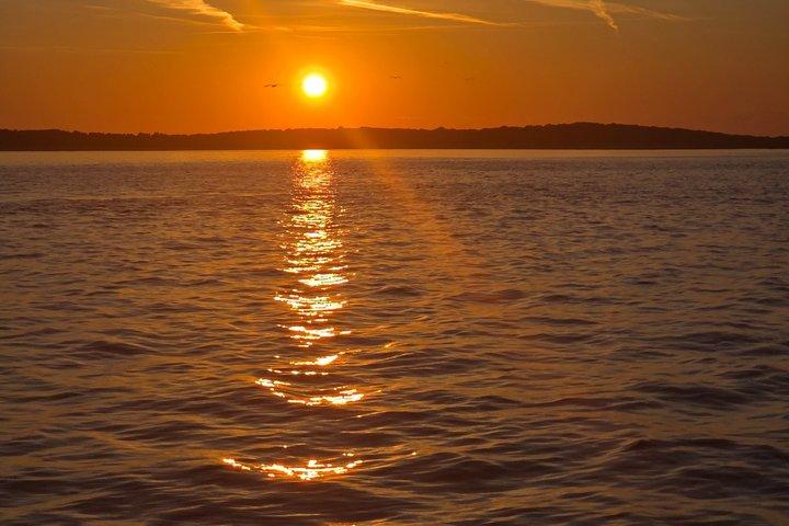 Fantastic DOLPHIN & SUNSET TOUR with dinner ( Pula-NP BRIJUNI )