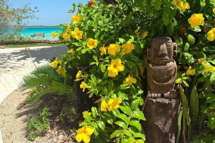 Private Riviera Maya SUV and Bilingual Chauffeur