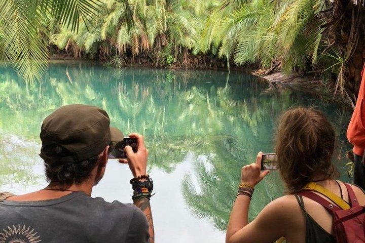 マテルニの滝、コーヒーツアー、チェムカ温泉日帰り旅行