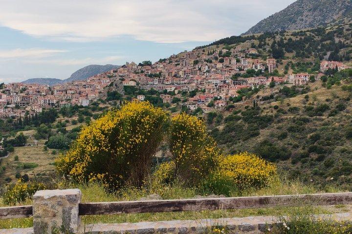 Private Arachova Day Trip with Hosios Loukas and Livadeia