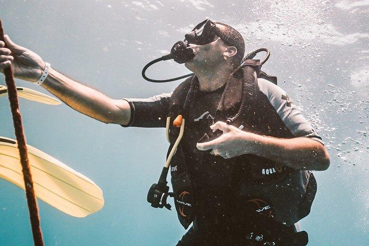 Your First Scuba Diving Adventure in Playa del Carmen