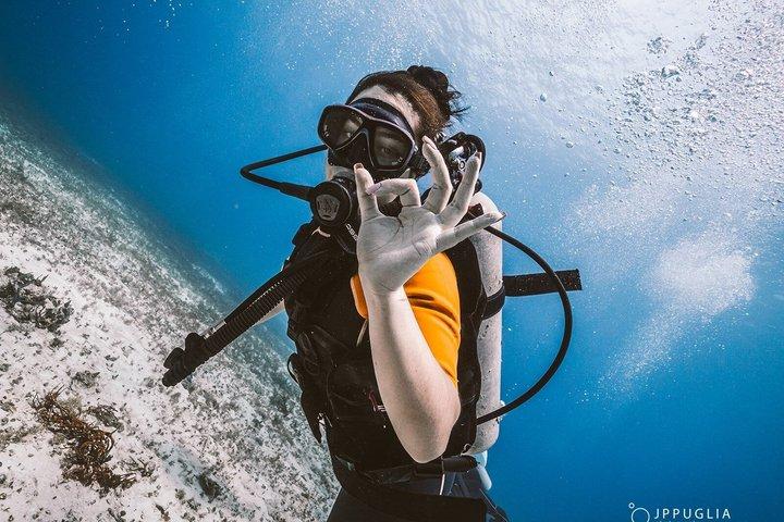 Your First Scuba Diving Adventure in Playa del Carmen