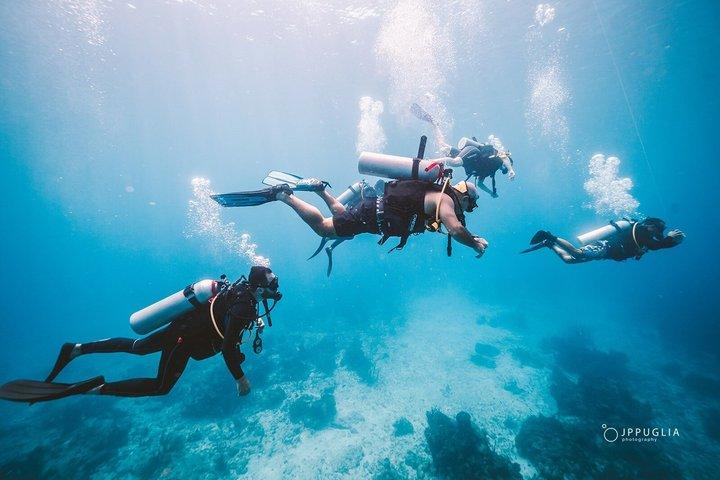 Your First Scuba Diving Adventure in Playa del Carmen
