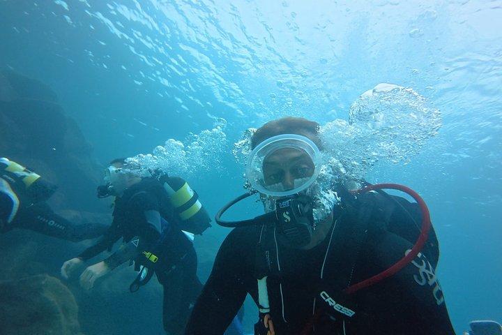 Private Beginner Try Dive with Collection and Photos