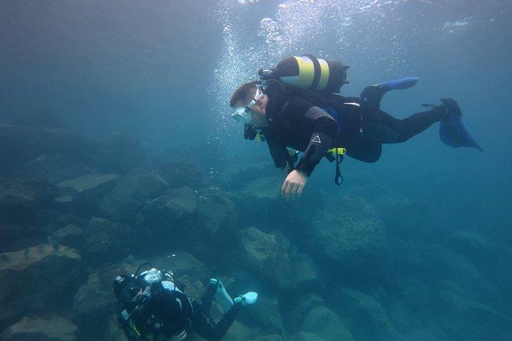 Private Beginner Try Dive with Collection and Photos