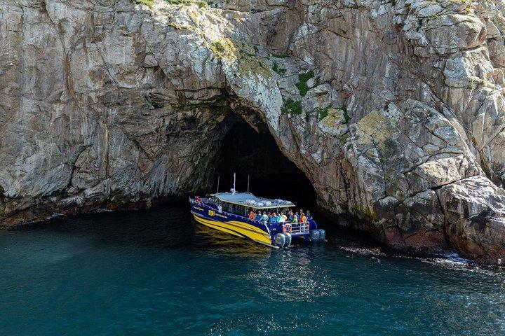 Maria Island Cruise & Walk Day Tour with Lunch (from Hobart)
