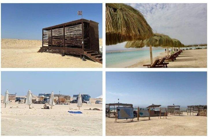 マルサアラムでのシャルム・エル・ルリ・ビーチシュノーケリング旅行