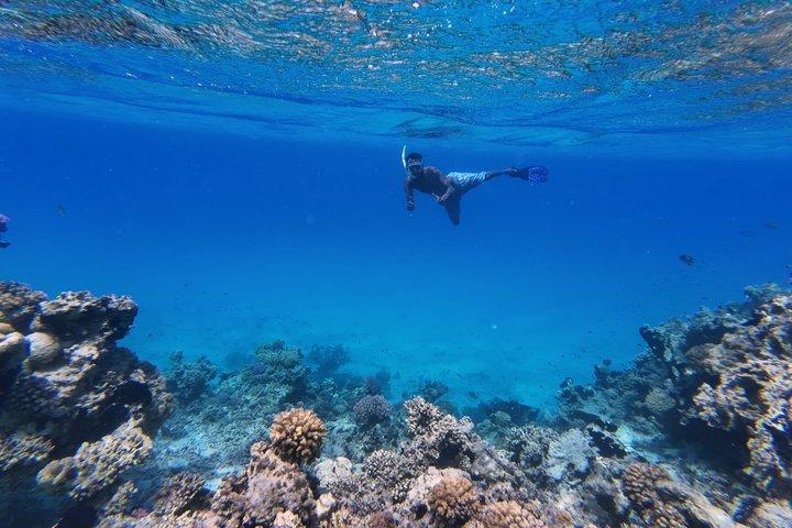 マルサアラムでのシャルム・エル・ルリ・ビーチシュノーケリング旅行